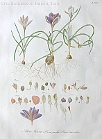  no thumbnail available