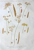  no thumbnail available