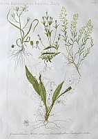  no thumbnail available