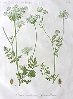  no thumbnail available