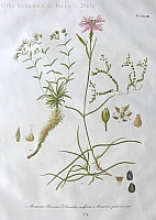  no thumbnail available