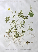  no thumbnail available