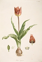  no thumbnail available