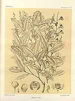  no thumbnail available