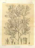  no thumbnail available