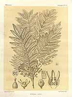  no thumbnail available