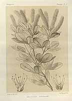  no thumbnail available