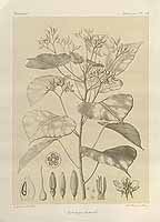  no thumbnail available