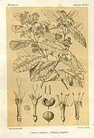  no thumbnail available