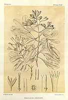  no thumbnail available