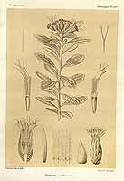  no thumbnail available