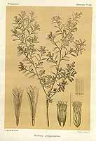  no thumbnail available