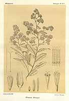  no thumbnail available