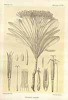  no thumbnail available