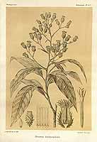  no thumbnail available