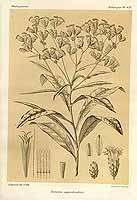  no thumbnail available