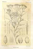  no thumbnail available