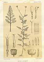  no thumbnail available