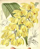  no thumbnail available