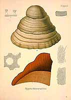  no thumbnail available