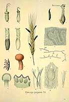  no thumbnail available