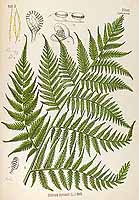  no thumbnail available