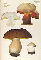  no thumbnail available