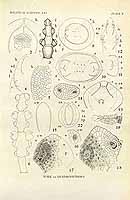  no thumbnail available