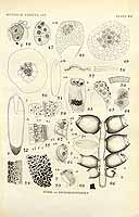  no thumbnail available