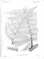  no thumbnail available