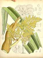  no thumbnail available