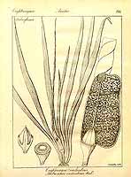  no thumbnail available