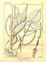  no thumbnail available