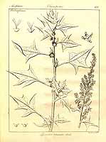  no thumbnail available