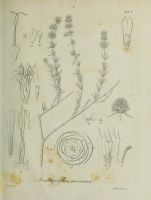  no thumbnail available