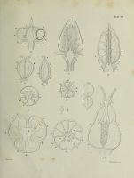  no thumbnail available