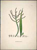  no thumbnail available