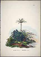  no thumbnail available