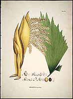  no thumbnail available