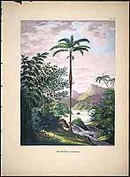  no thumbnail available