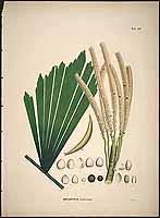  no thumbnail available