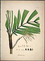  no thumbnail available