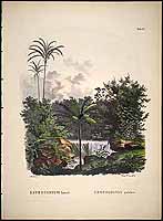  no thumbnail available