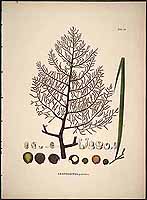  no thumbnail available