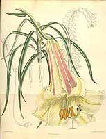  no thumbnail available