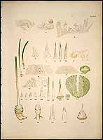  no thumbnail available