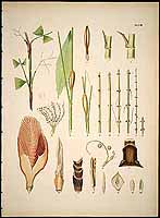  no thumbnail available