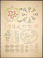  no thumbnail available