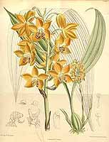  no thumbnail available