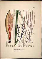  no thumbnail available